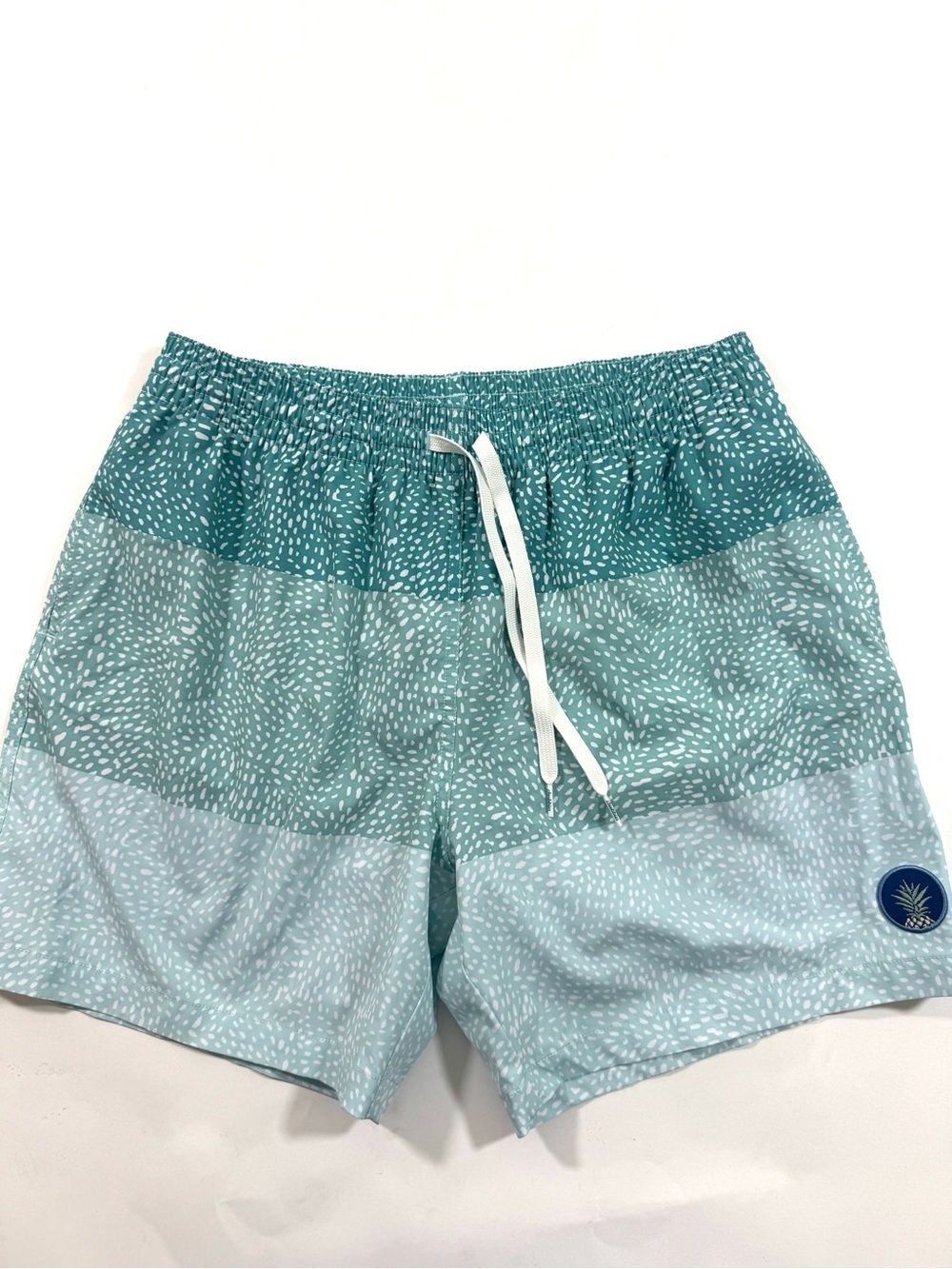 Chubbies The Whale Shark Classic Swim Trunks 5.5”